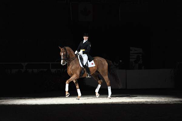 WIHS-10-24-09-DSC_0717-AshleyHolzer-PopArt-Dressage-DDeRosaPhoto.jpg