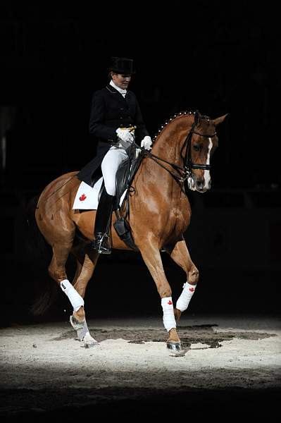 WIHS-10-24-09-DSC_0733-AshleyHolzer-PopArt-Dressage-DDeRosaPhoto.jpg