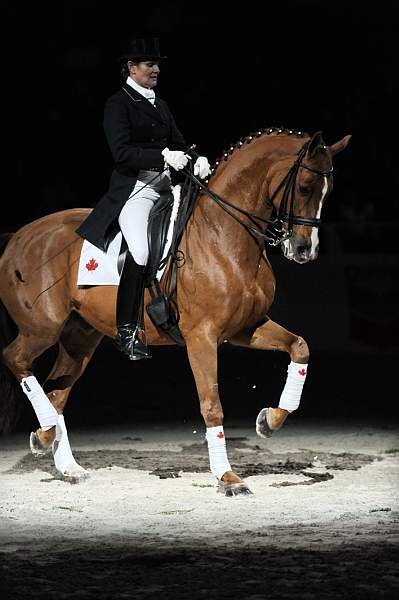 WIHS-10-24-09-DSC_0736-AshleyHolzer-PopArt-Dressage-DDeRosaPhoto.jpg