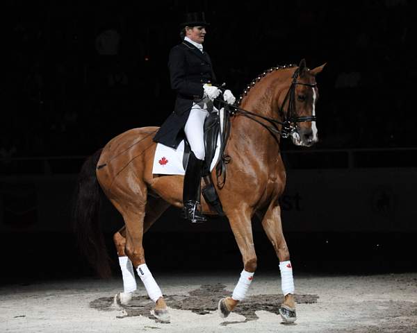 WIHS-10-24-09-DSC_0737-AshleyHolzer-PopArt-Dressage-DDeRosaPhoto.jpg
