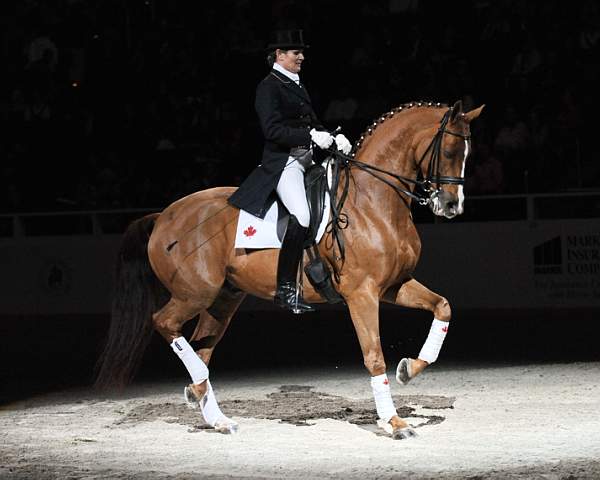 WIHS-10-24-09-DSC_0738-AshleyHolzer-PopArt-Dressage-DDeRosaPhoto.jpg