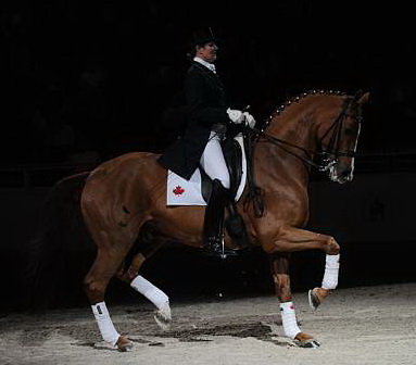 WIHS-10-24-09-DSC_0743-AshleyHolzer-PopArt-Dressage-DDeRosaPhoto.jpg