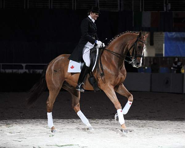 WIHS-10-25-09-DSC_3758-AshleyHolzer-PopArt-Dressage-DDeRosaPhoto.jpg