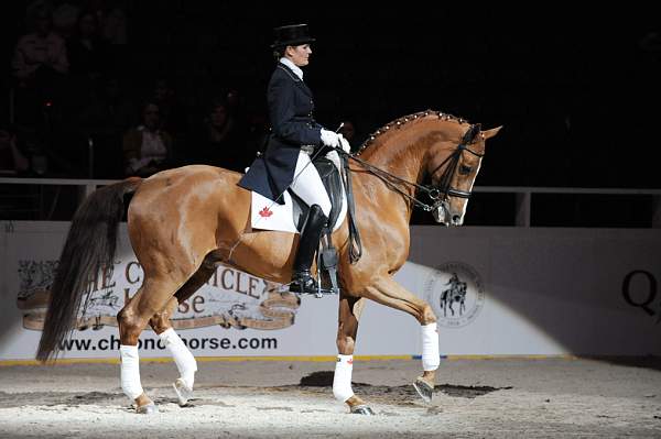 WIHS-10-25-09-DSC_3794-AshleyHolzer-PopArt-Dressage-DDeRosaPhoto.jpg