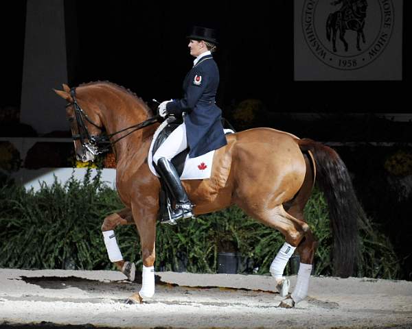 WIHS-10-25-09-DSC_3818-AshleyHolzer-PopArt-Dressage-DDeRosaPhoto.jpg