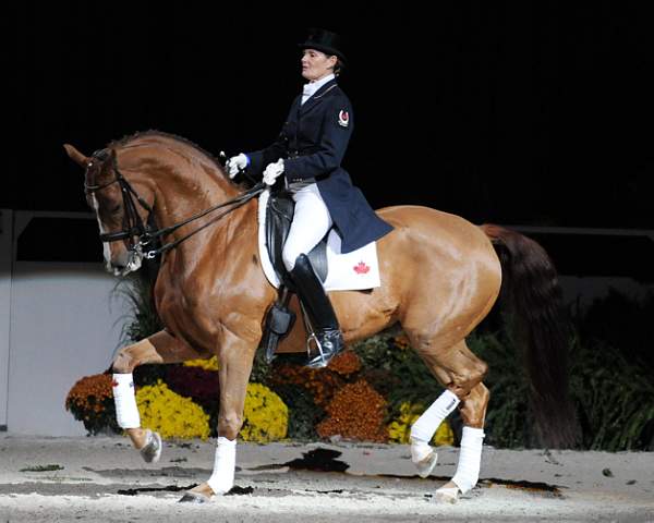 WIHS-10-25-09-DSC_3826-AshleyHolzer-PopArt-Dressage-DDeRosaPhoto.jpg