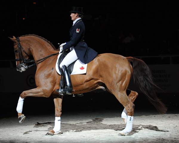 WIHS-10-25-09-DSC_3846-AshleyHolzer-PopArt-Dressage-DDeRosaPhoto.jpg