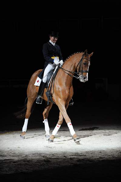 WIHS-10-25-09-DSC_3852-AshleyHolzer-PopArt-Dressage-DDeRosaPhoto.jpg