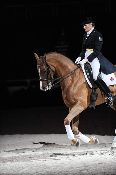 WIHS-10-25-09-DSC_3935-AshleyHolzer-PopArt-Dressage-DDeRosaPhoto.jpg