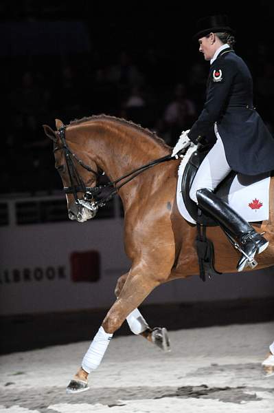 WIHS-10-25-09-DSC_3939-AshleyHolzer-PopArt-Dressage-DDeRosaPhoto.jpg