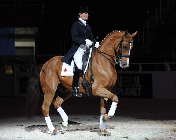 WIHS-10-25-09-DSC_3966-AshleyHolzer-PopArt-Dressage-DDeRosaPhoto.jpg