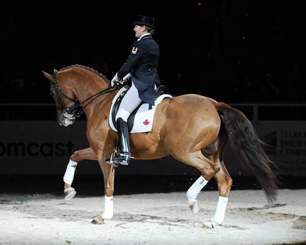 WIHS-10-25-09-DSC_3990-AshleyHolzer-PopArt-Dressage-DDeRosaPhoto.jpg