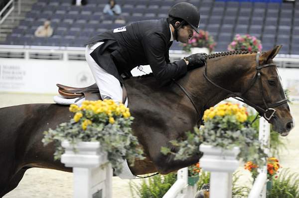 WIHS-10-21-09-DSC_2598-Andiamo-BradWolf-Hunters-DDeRosaPhoto.jpg