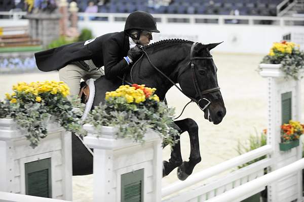 WIHS-10-21-09-DSC_2675-Ebony-HollyBossert-Hunters-DDeRosaPhoto.jpg