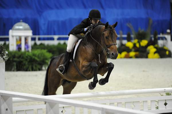 WIHS-10-21-09-DSC_2780-Scout-CarolineClarkMorrison-Hunters-DDeRosaPhoto.jpg