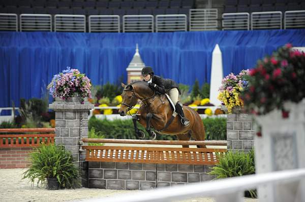 WIHS-10-23-09-DSC_7449-Bentley-BruganBrown-Hunters-DDeRosaPhoto.jpg