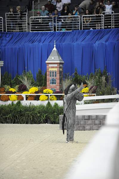 WIHS-10-23-09-DER_7229-Mascot-DDeRosaPhoto.jpg