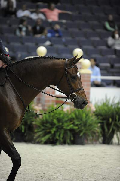 WIHS-10-22-09-DSC_4117-Ovation-VictoriaColvin-SmJrHtr15U-Misc-DDeRosaPhoto.jpg