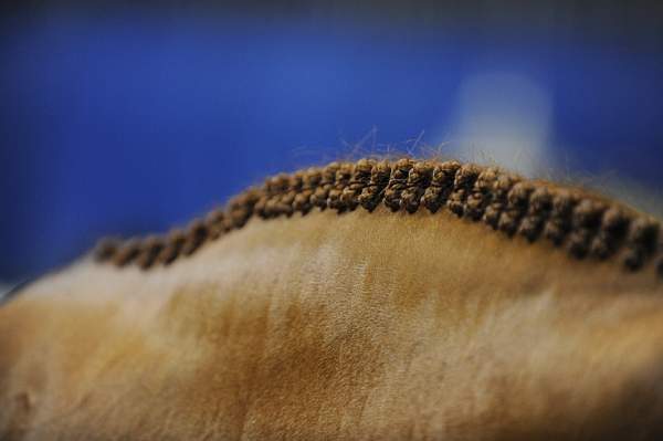 WIHS-10-24-09-DER_8168-Miscellaneous-DDeRosaPhoto.jpg