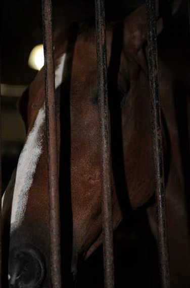 WIHS-10-24-09-DSC_9151-Miscellaneous-DDeRosaPhoto.jpg