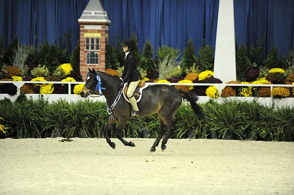 WIHS-10-24-09-Cl185WIHSPnyEqFinals-DER_8352-Tango-MadelynKeck-AllTheBest-VictoriaColvin-Ponies-DDeRosaPhoto.jpg