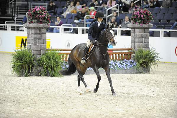 WIHS-10-24-09-DER_8119-Cl122LgPny-NotoriousR-MeredithDarst-Ponies-DDeRosaPhoto.jpg