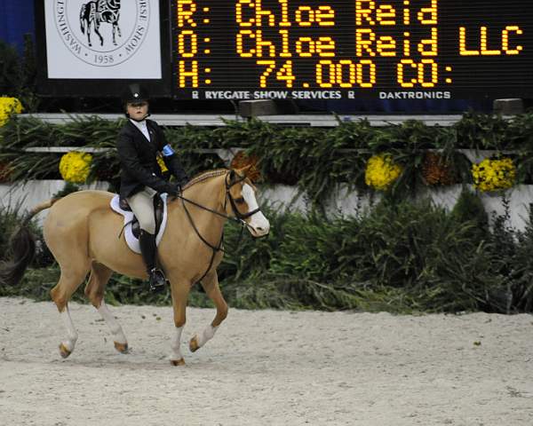 WIHS-10-25-09-DSC_1812-Ponies-DDeRosaPhoto.jpg