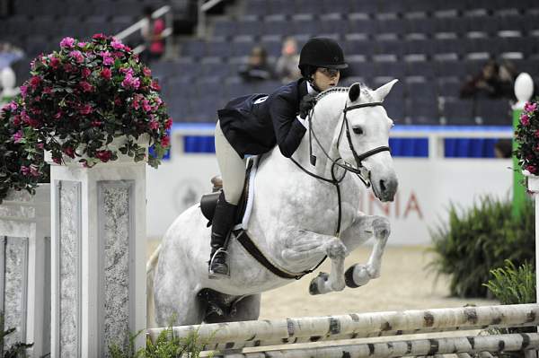 WIHS-10-25-09-LgPnyHtr-DSC_2168-Hallelujah-DanaRizzo-Ponies-DDeRosaPhoto.jpg