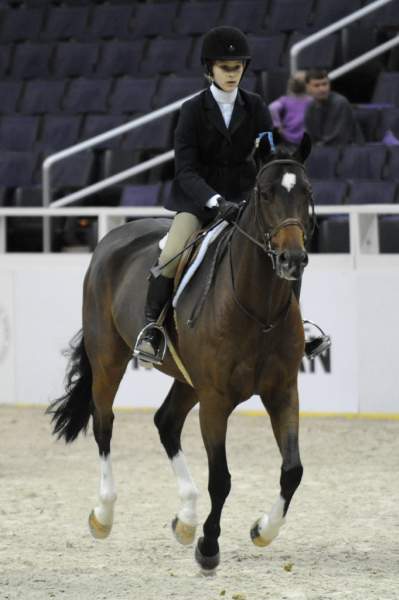 WIHS-10-25-09-LgPnyHtr-DSC_2204-LoveAndLaughter-DestrySpielberg-Ponies-DDeRosaPhoto.jpg