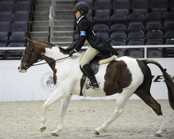 WIHS-10-25-09-LgPnyStke-DSC_2348-Solaris-MargaretLuck-Ponies-DDeRosaPhoto.jpg