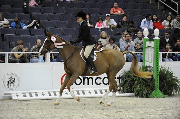 WIHS-10-25-09-LocHtrFinals-Pns-DSC_2707-AnotherJewel-MeganFoard-Ponies-DDeRosaPhoto.jpg