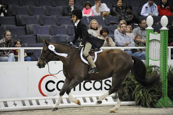 WIHS-10-25-09-LocHtrFinals-Pns-DSC_2710-HighExpectations-SelinaPetronelli-Ponies-DDeRosaPhoto.jpg