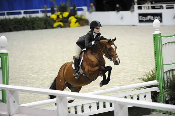 WIHS-10-25-09-MedPny-DSC_1934-BrightonUndeniably-AshleyFoster-Ponies-DDeRosaPhoto.jpg
