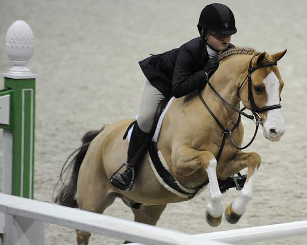 WIHS-10-25-09-MedPnyStke-DSC_2117-BenleaAristocrat-ChloeReid-Ponies-DDeRosaPhoto.jpg