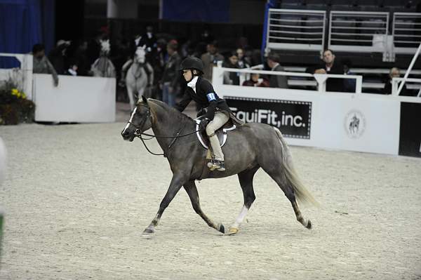 WIHS-10-25-09-SmPnyStke-DSC_1699-RicoSuave-AlleeceJarman-RicoSuave-AleeceJarman-Ponies-DDeRosaPhoto.jpg