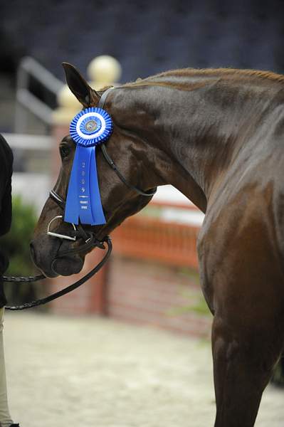 WIHS-10-22-09-DSC_4840-Perfectionist-HeatherHooker-LgJrHtr15U-Presentations-DDeRosaPhoto.jpg
