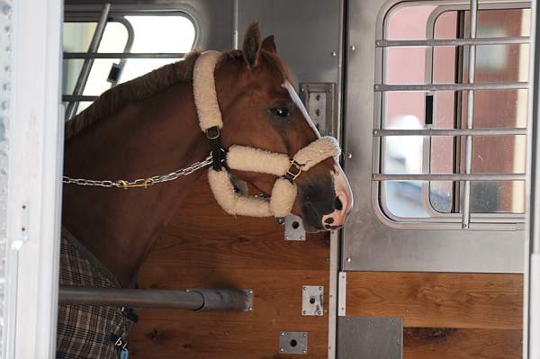 WIHS-10-19-09-339-Setup-DDeRosaPhoto.jpg