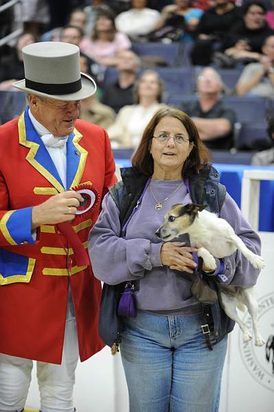 WIHS-10-24-09-DSC_0612-Terriers-JohnFranzreb-DDeRosaPhoto.jpg