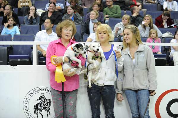 WIHS-10-24-09-DSC_0629-Terriers-DDeRosaPhoto.jpg