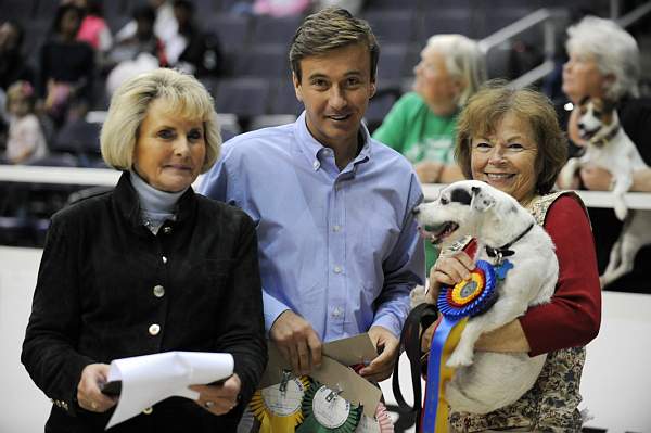 WIHS-10-25-09-DSC_3415-Terriers-DDeRosaPhoto.jpg