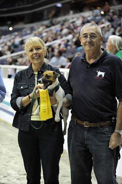 WIHS-10-25-09-DSC_3421-Terriers-DDeRosaPhoto.jpg