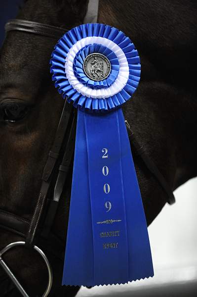 WIHS-10-23-09-DSC_7757-Bishonen-SamanthaSchaefer-Winners-DDeRosaPhoto.jpg