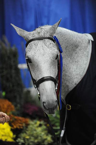 WIHS-10-23-09-DSC_8434-SmJr16-17Ch-Lyle-AbbyOMara-Winners-DDeRosaPhoto.jpg