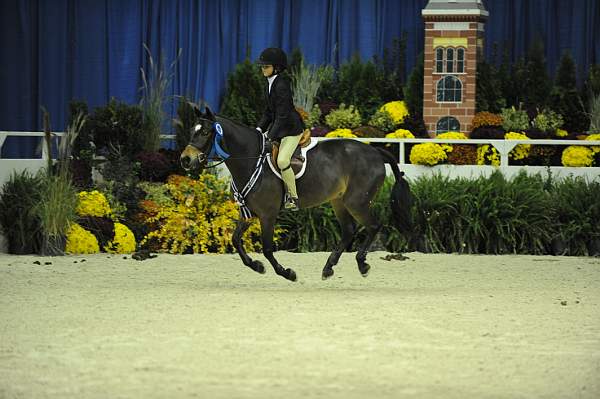 WIHS-10-24-09-DER_8353-Tango-MadelynKeck-Winners-DDeRosaPhoto.jpg