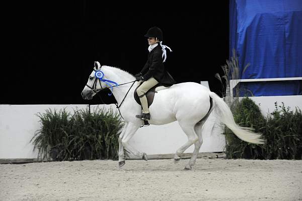 WIHS-10-25-09-LocHtrFinals-Pns-DSC_2725-Seastar-AlexisSicher-Winners-DDeRosaPhoto.jpg