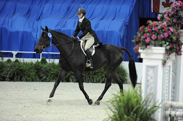 WIHS-10-25-09-LocalHtrHrs-DSC_2850-GranTurismo-AngeeQuattro-Kerns-Winners-DDeRosaPhoto.jpg