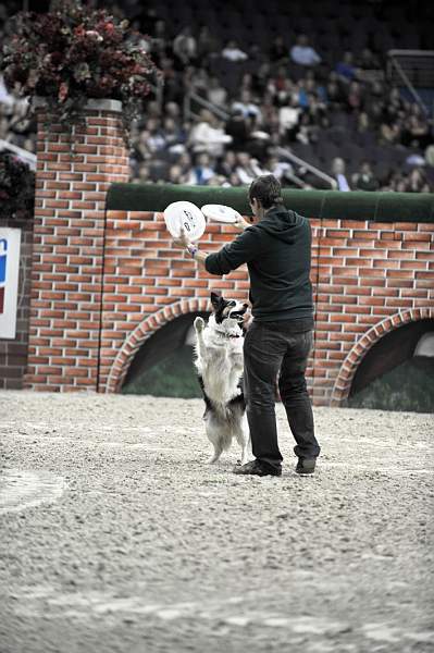 WIHS-10-23-09-DER_7545-ZakGeorge-DDeRosaPhoto.jpg