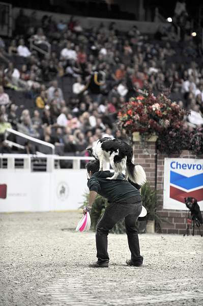WIHS-10-23-09-DER_7549-ZakGeorge-DDeRosaPhoto.jpg