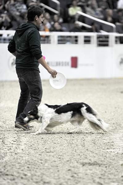 WIHS-10-23-09-DER_7551-ZakGeorge-DDeRosaPhoto.jpg
