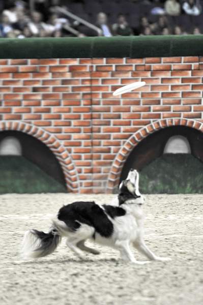 WIHS-10-23-09-DER_7552-ZakGeorge-DDeRosaPhoto.jpg